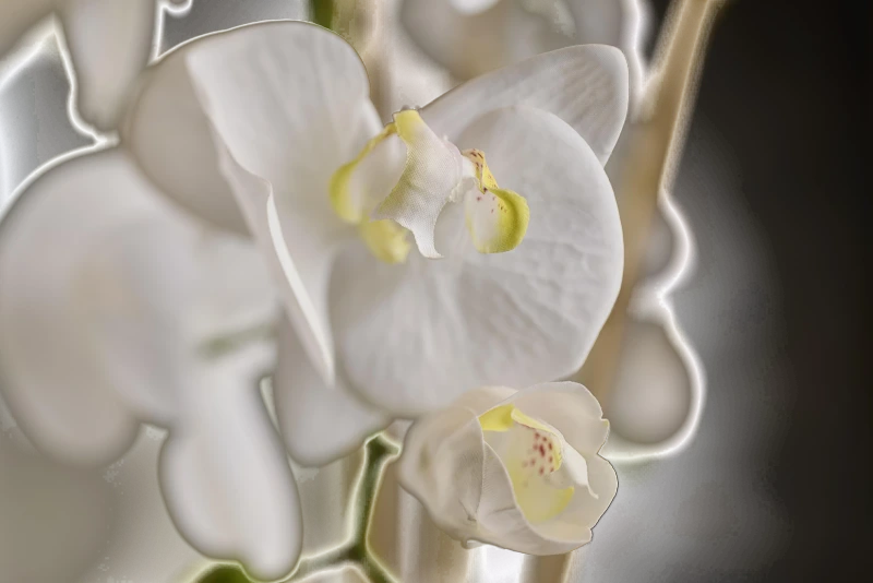 Sea coral orchids, fabric, silk — View 3