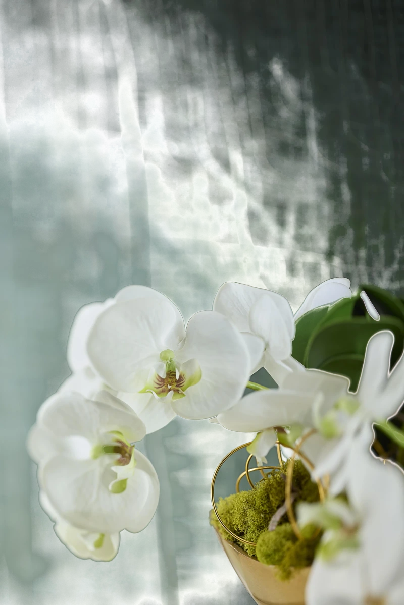 Fallen orchids, fabric, silk — View 4