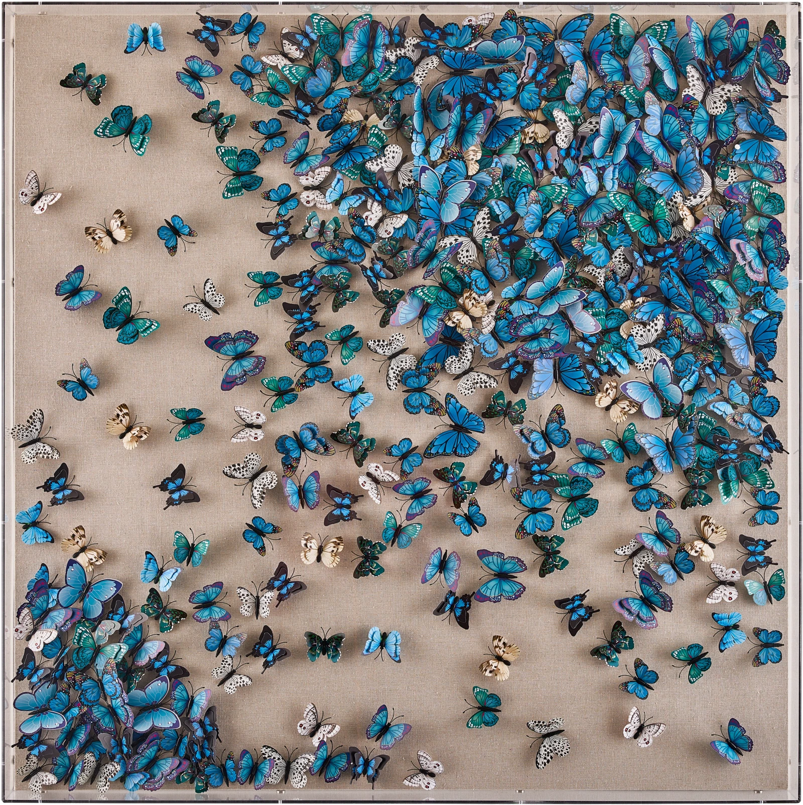 Flight of the Butterflies, Tony Fey, framed linen, acrylic, wood, pine — Ansicht 2